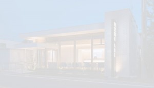 parallax